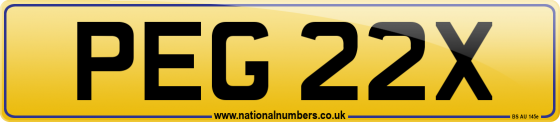 PEG 22X