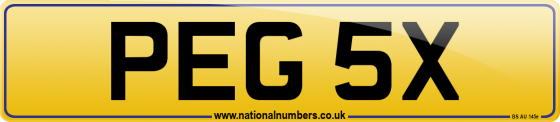 PEG 5X