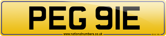 PEG 91E