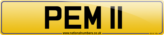 PEM 11