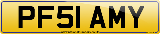 PF51 AMY