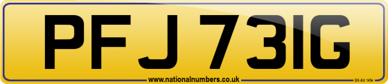 PFJ 731G