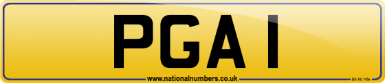 PGA 1
