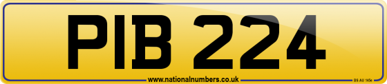 PIB 224