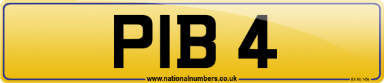 PIB 4