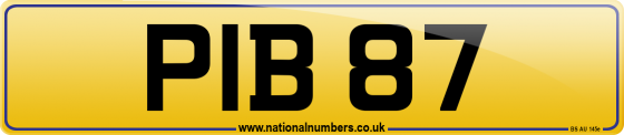 PIB 87