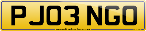 PJ03 NGO