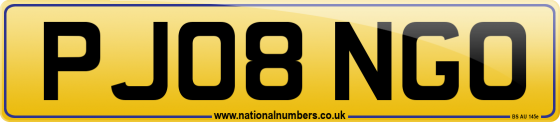 PJ08 NGO