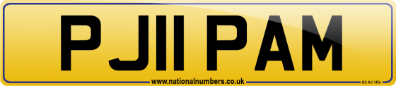 PJ11 PAM