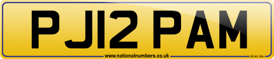 PJ12 PAM