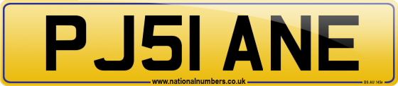 PJ51 ANE