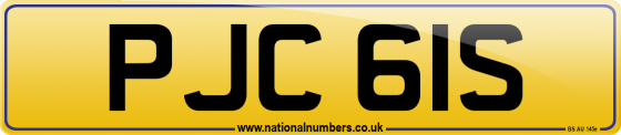 PJC 61S
