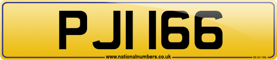 PJI 166
