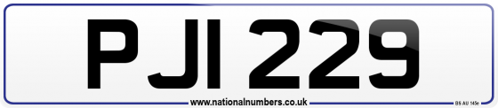 PJI 229