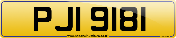PJI 9181