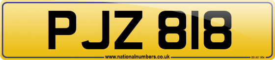 PJZ 818