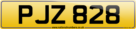 PJZ 828