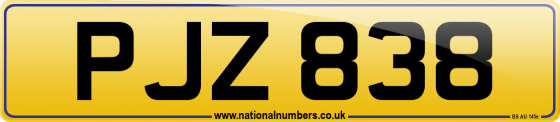 PJZ 838