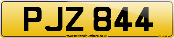 PJZ 844