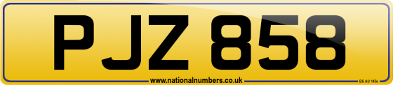 PJZ 858