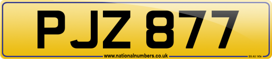 PJZ 877