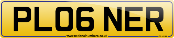 PL06 NER
