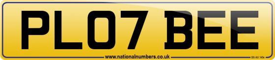 PL07 BEE
