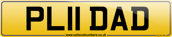 PL11 DAD