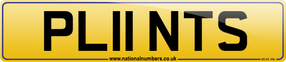 PL11 NTS