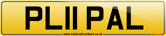 PL11 PAL