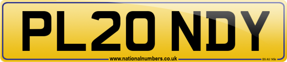 PL20 NDY