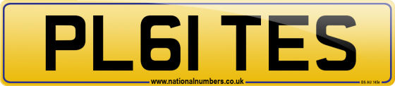PL61 TES