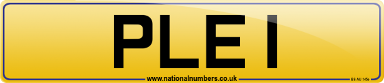 PLE 1