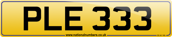 PLE 333