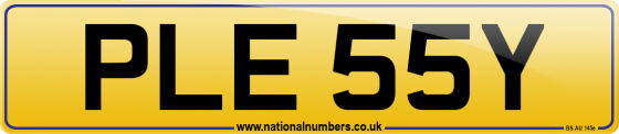 PLE 55Y