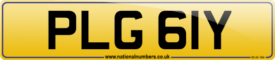 PLG 61Y