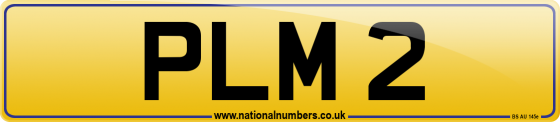 PLM 2