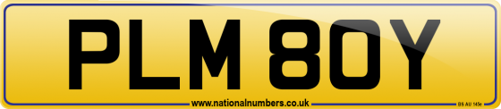 PLM 80Y