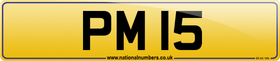 PM 15
