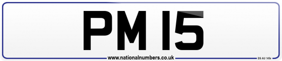 PM 15