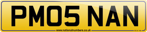 PM05 NAN