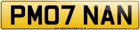 PM07 NAN