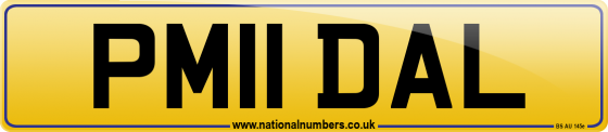PM11 DAL