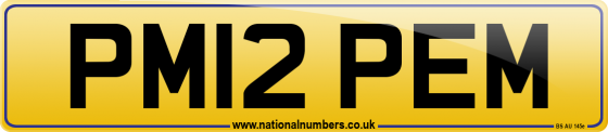 PM12 PEM