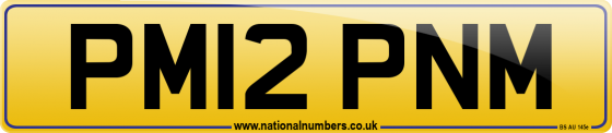 PM12 PNM