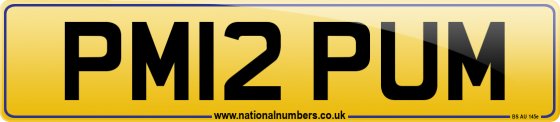PM12 PUM