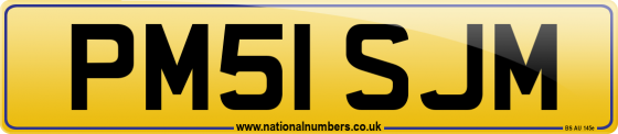 PM51 SJM