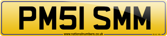 PM51 SMM