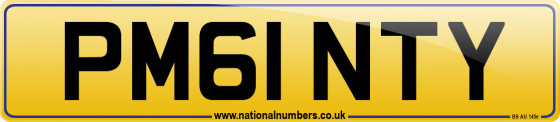 PM61 NTY