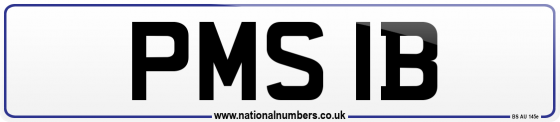 PMS 1B